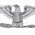army colonel eagle wings