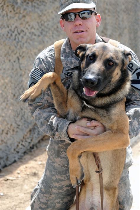 There’s An Adoption Drive For Retired Military Dogs In Delhi Tomorrow