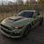 army green mustang
