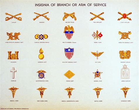 US Armed Forces Officer Branch insignias Us army insignia, Us army