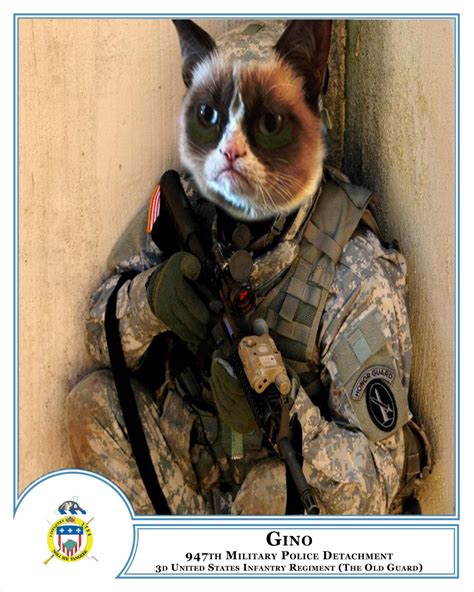 army cats log in