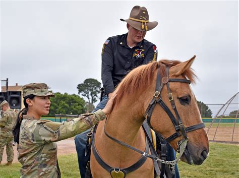 Army Horse Unit