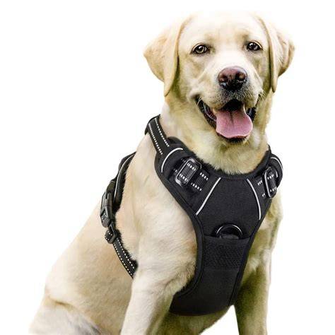 Arneses antitirones básicos L, Gris Tineer Reflective Nylon Arnés para