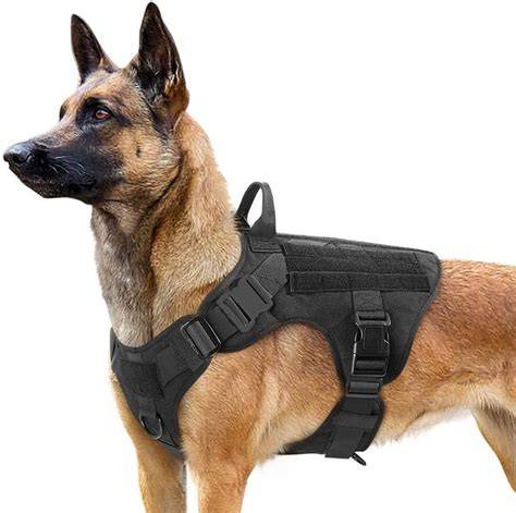 Arnés De Perro Grande Para Auto Solvit 787.00 en Mercado Libre