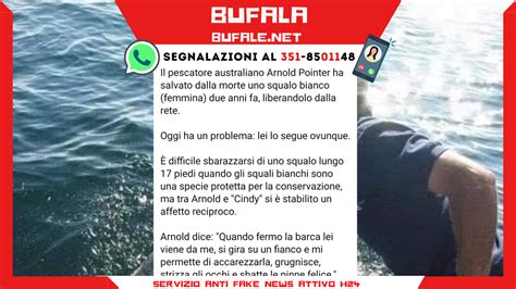 Reviews Arnold Pointer E Cindy