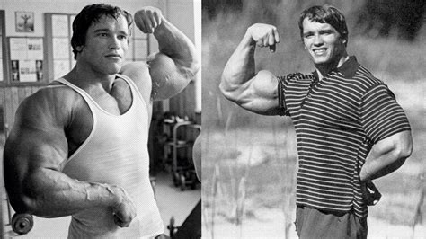 arnold schwarzenegger arm measurement