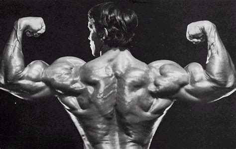 arnold schwarzenegger back muscles