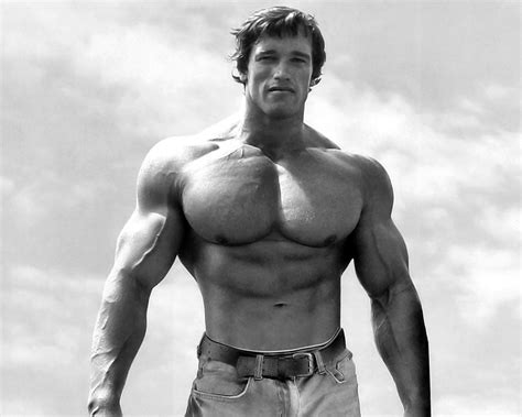 arnold schwarzenegger body