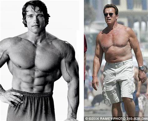 arnold schwarzenegger body now 2022