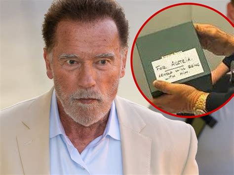 arnold schwarzenegger detained watch