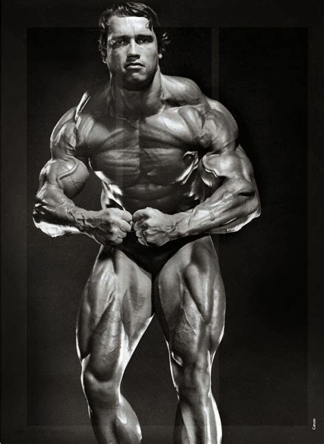 arnold schwarzenegger most muscular pose