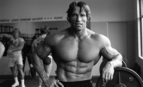 arnold schwarzenegger muscle and fitness