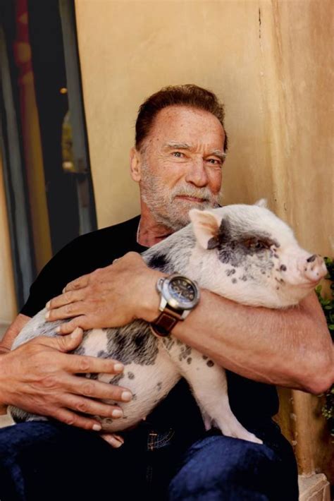 arnold schwarzenegger pet tiger