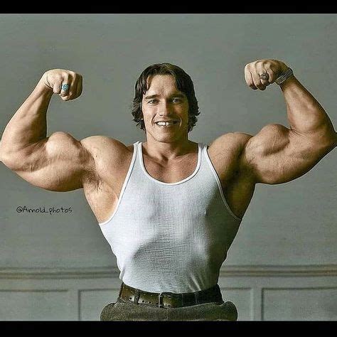 arnold schwarzenegger taille et poids