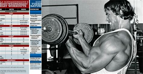 arnold schwarzenegger workout routine pdf