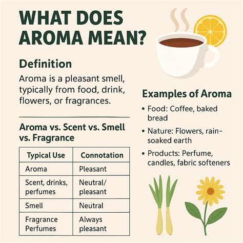 Aroma Meaning Example