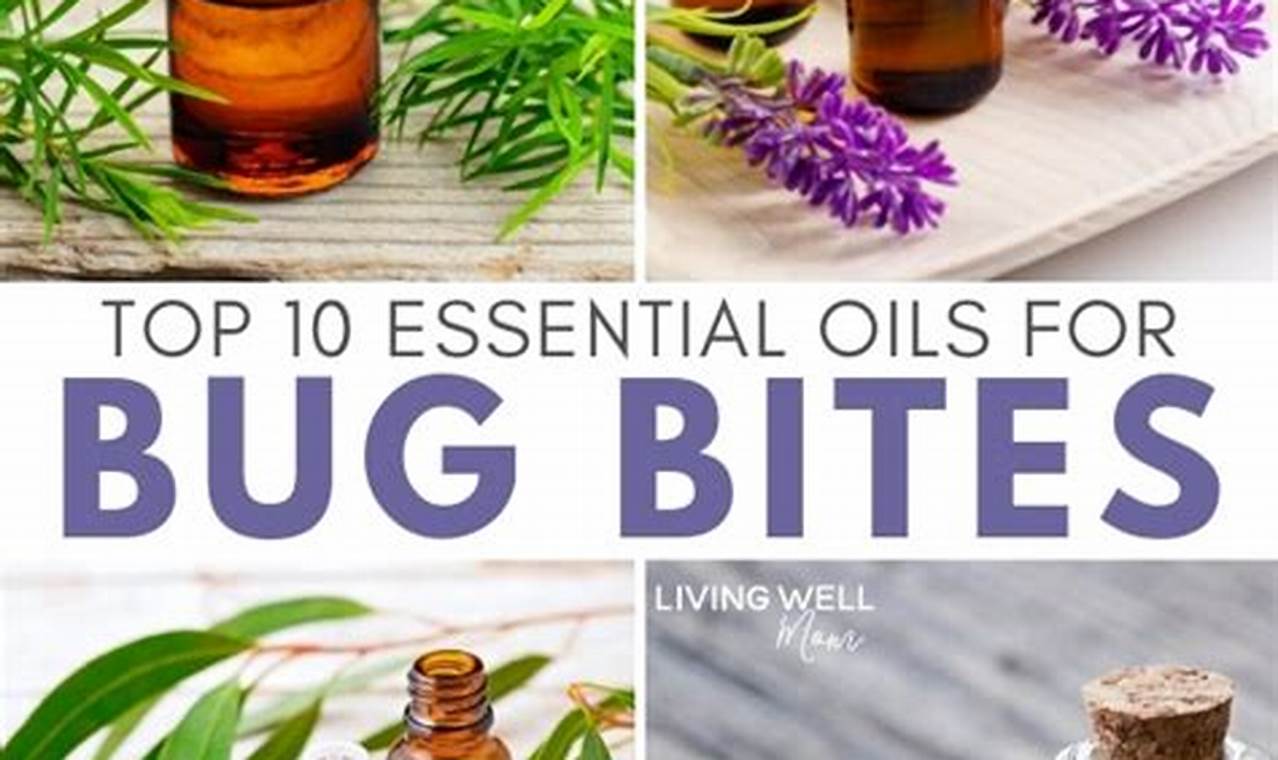 Essential Oils: Unlocking Nature's Secrets for Insect Bite Relief