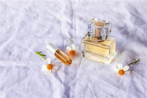 Aromatherapy How To Use In Sentence