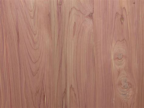 aromatic cedar paneling