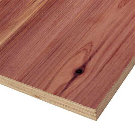 aromatic red cedar