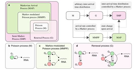 arrival process
