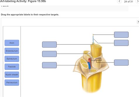 art-labeling activity figure 1228a