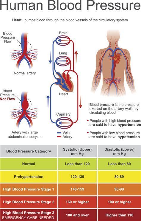 arterial pressure and blood pressure