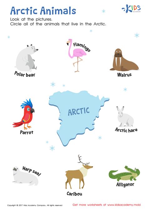 Pin by Esther on PreK Worksheets Arctic animals, Artic animals