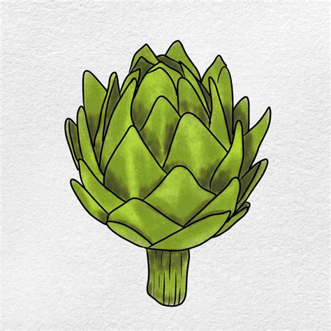 Artichoke Drawing