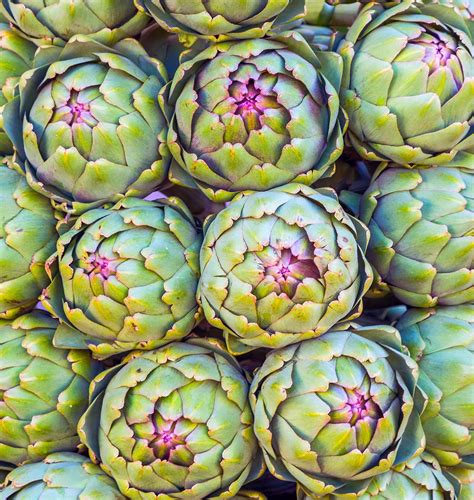 Artichoke Type Of Vegetable