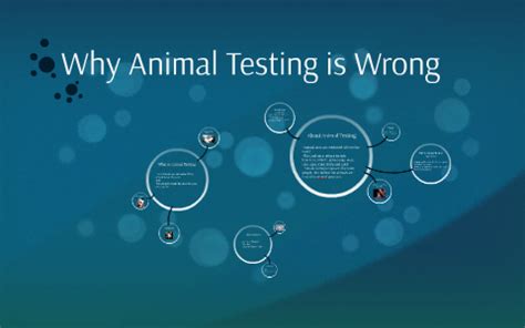 Article On Why Animal Testing Is Wrong