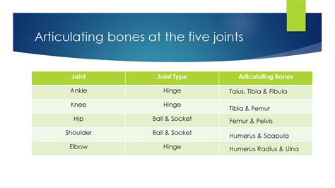 Articulating Bones