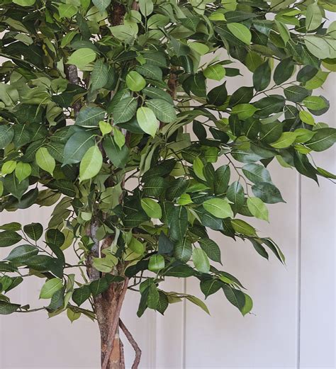 Artificial African Trees