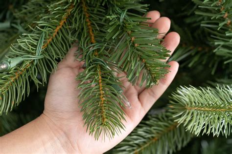 Artificial Christmas Tree With The Most Tips