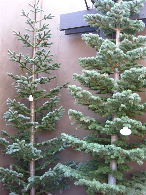 Artificial Christmas Trees With Space Between Branches