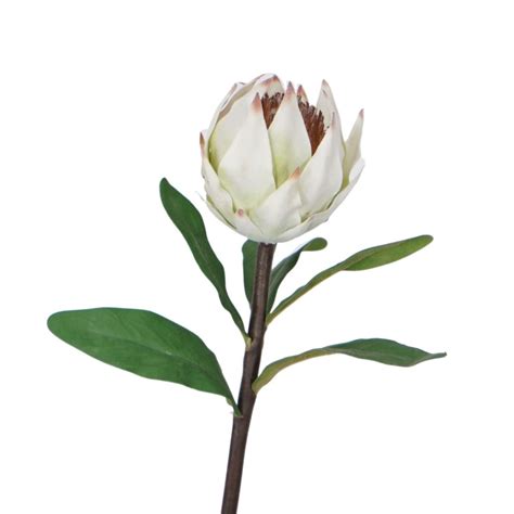 Artificial Cream Protea