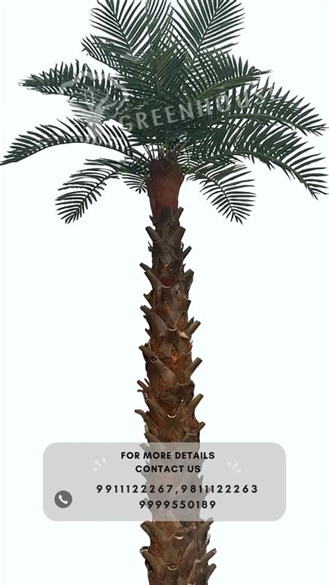 Artificial Date Palm Branches