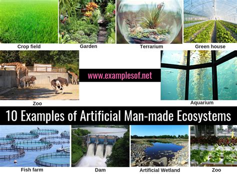 Artificial Environment Is Also Known As