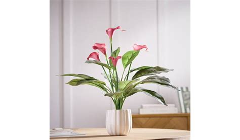 Artificial Flowers At Argos