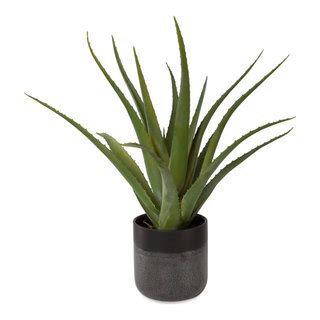 Artificial Flowers Tucson