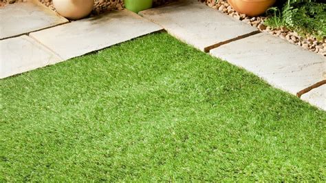artificial grass petition