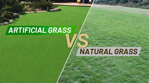 Artificial Grass Vs Grass