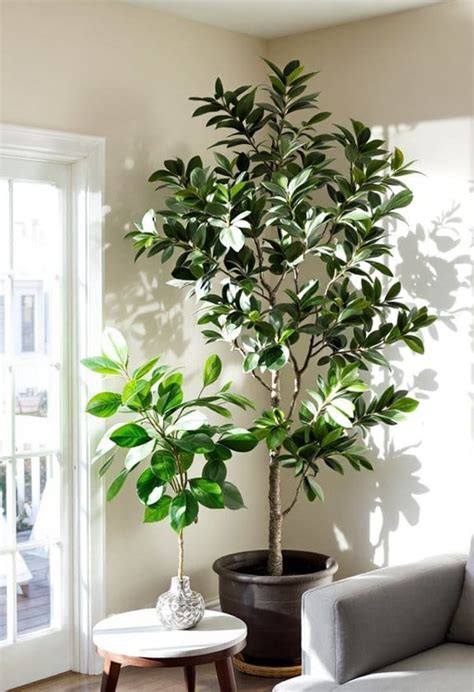 Artificial Indoor Trees Australia