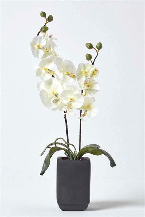 Artificial Orchids In Ceramic Pot