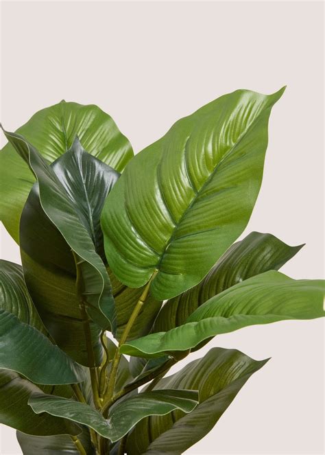 Artificial Plants At Matalan