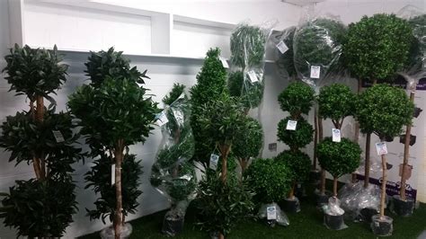 Artificial Plants Dunboyne