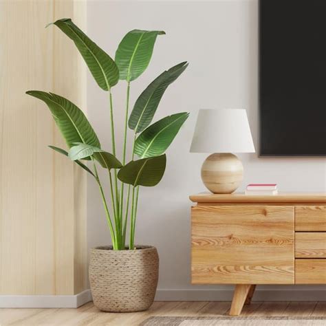 Artificial Plants For Bedroom