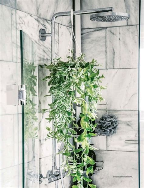 Artificial Plants For Shower