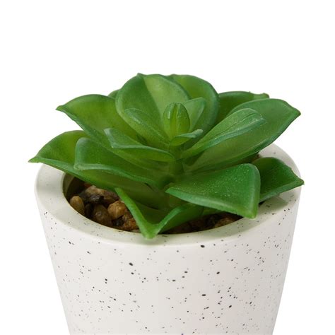 Artificial Plants In Kmart