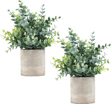 Artificial Plants On Shelf